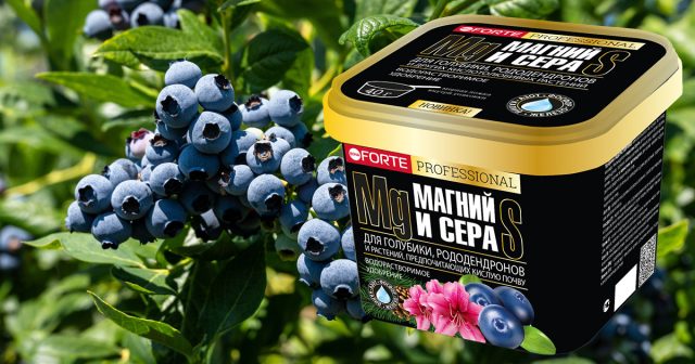 водорастворимое удобрение Для голубики, рододендронов и кислотолюбивых растений с серой и магнием Bona Forte.