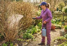 Как защитить растения от вредителей в весенний период? Как защитить растения от вредителей в весенний период?