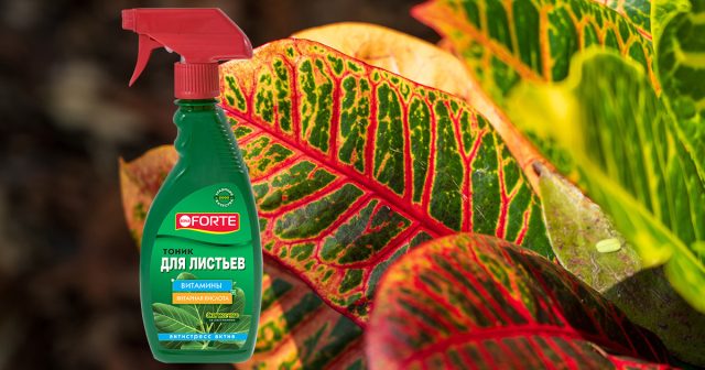 Тоник для листьев, 500 мл Bona Forte