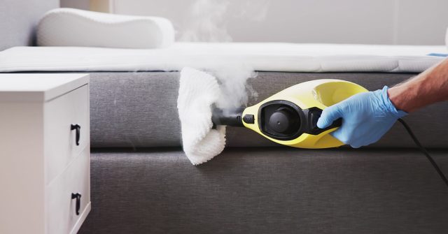 После обнаружения гнёзд клопов поверхности тщательно обрабатывают пылесосом на максимальной мощности. Так удаляют взрослых насекомых, яйца и органические остатки из доступных зон. После обнаружения гнёзд клопов поверхности тщательно обрабатывают пылесосом на максимальной мощности. Так удаляют взрослых насекомых, яйца и органические остатки из доступных зон.