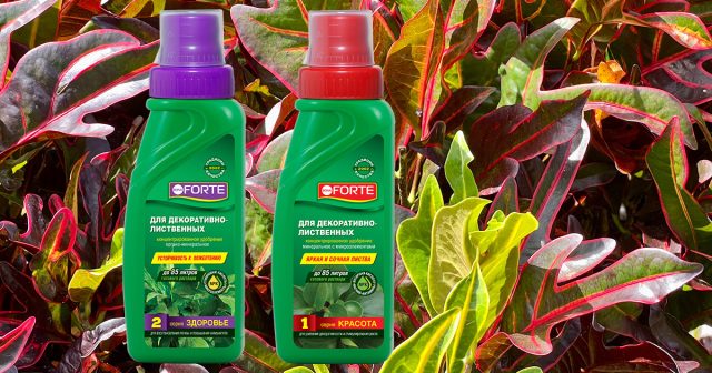 Удобрение для декоративно-лиственных серия КРАСОТА, 285 мл Bona Forte