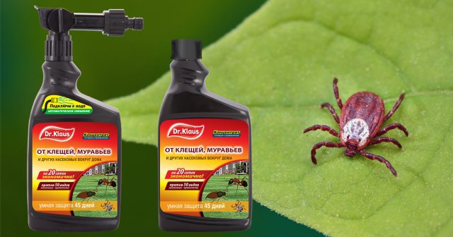 Средство от ползающих насекомых в канистре с эжектором Dr.Klaus Средство от ползающих насекомых в канистре с эжектором Dr.Klaus