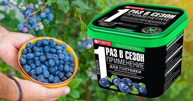 Пролонгированный комплекс Для голубики с биодоступным кремнием Bona Forte