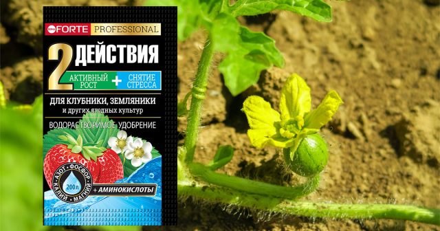 Водорастворимое удобрение Для клубники, земляники с аминокислотами Bona Forte