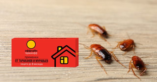 Ловушка-приманка Оффлайн