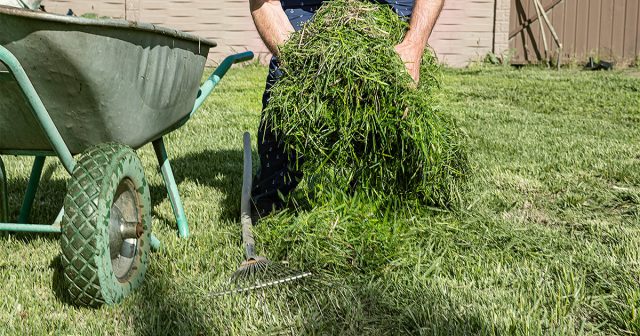 Чистый участок — уже половина успеха. Убрали листья, срезали лишнюю траву, открыли доступ к проблемным зонам — и обработка ложится равномерно, без «слепых» мест. Чистый участок — уже половина успеха. Убрали листья, срезали лишнюю траву, открыли доступ к проблемным зонам — и обработка ложится равномерно, без «слепых» мест.