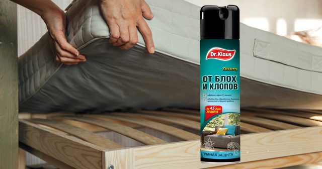 Аэрозоль от клопов, блох и других насекомых Dr.Klaus Аэрозоль от клопов, блох и других насекомых Dr.Klaus