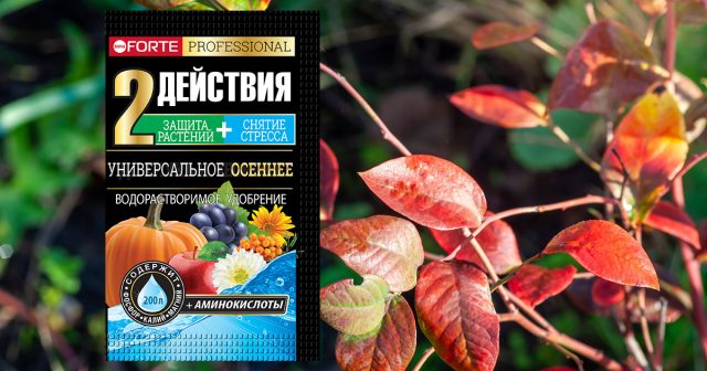 Водорастворимое удобрение Универсальное осеннее с аминокислотами Bona Forte.