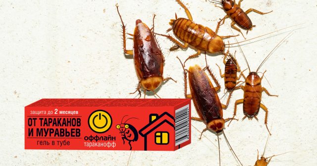 Гель Оффлайн