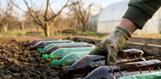 7 способов, чтобы ваши грядки прогрелись на пару недель раньше 7 способов, чтобы ваши грядки прогрелись на пару недель раньше