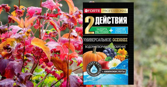 Удобрение Универсальное осеннее с аминокислотами Bona Forte