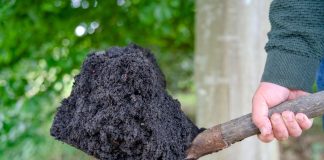 Биочар и биоуголь: простой способ сделать землю плодородной