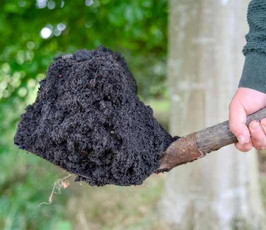 Биочар и биоуголь: простой способ сделать землю плодородной