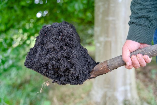 Биочар и биоуголь: простой способ сделать землю плодородной Биочар и биоуголь: простой способ сделать землю плодородной
