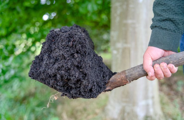 Биочар и биоуголь: простой способ сделать землю плодородной Биочар и биоуголь: простой способ сделать землю плодородной