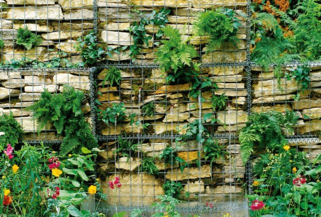 Габионы можно использовать как основу для фитостен и опор для растений. Конструкция удерживает грунт, обеспечивает дренаж и позволяет создавать устойчивые вертикальные композиции.