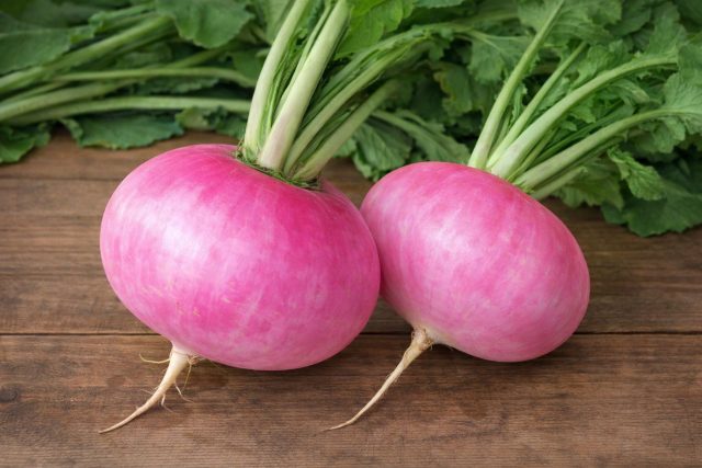 Декоративный и вкусный сорт с розово-белыми корнеплодами. Требователен к влаге и свету, но радует сочной мякотью и аккуратной формой. Декоративный и вкусный сорт с розово-белыми корнеплодами. Требователен к влаге и свету, но радует сочной мякотью и аккуратной формой.