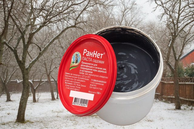 После обрезки на месте спила остаётся открытая рана, через которую легко проникают инфекции. Обработка пастой «РанНет» защищает древесину, подавляет патогены и ускоряет заживление повреждённых тканей.