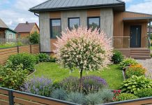 Растения-солитёры для небольшого сада: меньше посадок — больше эффекта