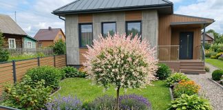 Растения-солитёры для небольшого сада: меньше посадок — больше эффекта - Лучшее Растения-солитёры для небольшого сада: меньше посадок — больше эффекта