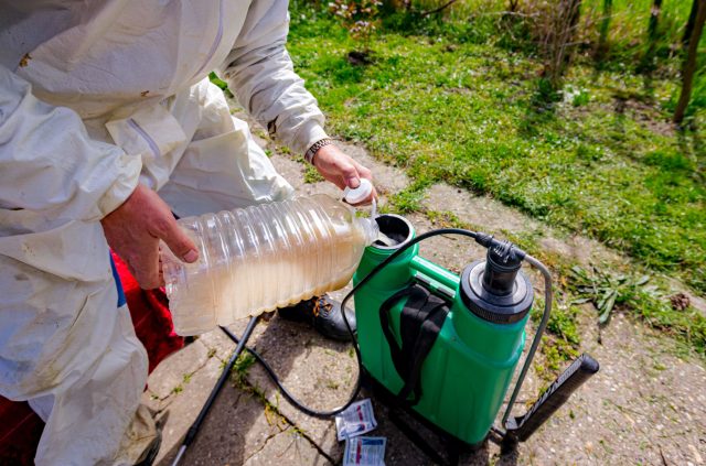 Смешивание препаратов позволяет сократить количество обработок, но требует точности. Неправильная комбинация может снизить эффективность или повредить растения, поэтому важно учитывать совместимость.