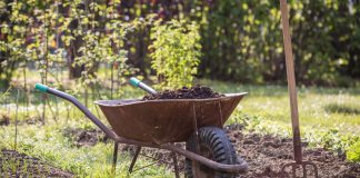 Участок на торфяной почве: что важно знать владельцу - Лучшее Участок на торфяной почве: что важно знать владельцу