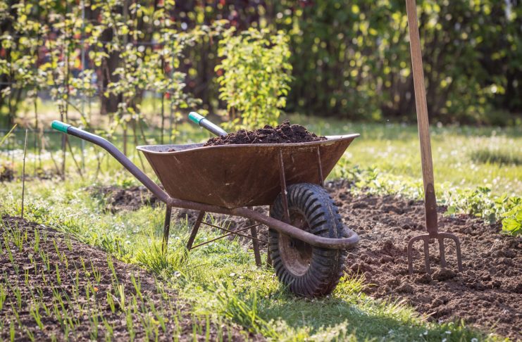 Участок на торфяной почве: что важно знать владельцу Участок на торфяной почве: что важно знать владельцу