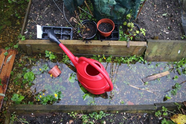 Торфяники отличаются высокой влагоёмкостью, подвижностью и кислотностью. Они медленно прогреваются, склонны к проседанию и подтоплениям, что напрямую влияет на строительство и выбор растений.