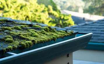 5 причин появления мха и как от него навсегда избавиться 5 причин появления мха и как от него навсегда избавиться