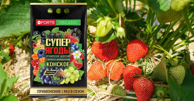 Конское премиум органическое удобрение с цеолитом и аминокислотами СУПЕР Ягоды, 2 кг Bona Forte