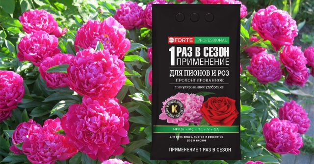 Гранулированное пролонгированное Премиум Для пионов и роз Bona Forte