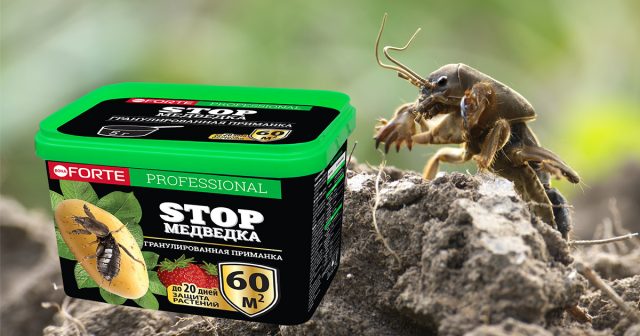 СТОПмедведка Bona Forte СТОПмедведка Bona Forte