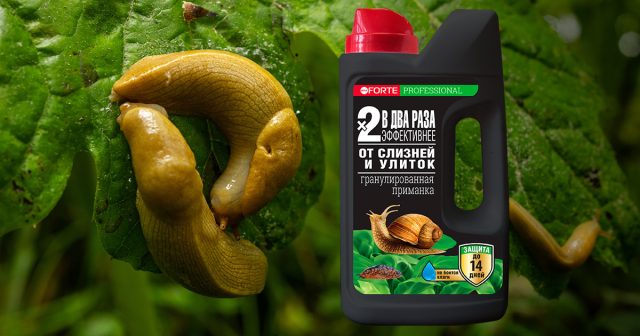 Супер гранулы от слизней и улиток Bona Forte Супер гранулы от слизней и улиток Bona Forte