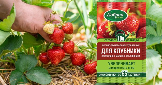 Удобрение для КЛУБНИКИ, СМОРОДИНЫ, МАЛИНЫ, КРЫЖОВНИКА, 100 мл Добрая сила.