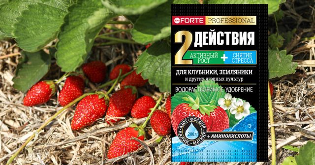 Удобрение водорастворимое для клубники, земляники с аминокислотами, 100 г Bona Forte