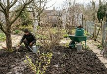 Хитрости весенних подкормок сада, о которых редко говорят