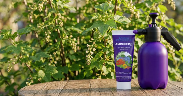 Рекомендуем применять Аминосил в комплексе с любыми препаратами по защите растени