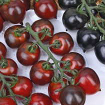 Томат Чёрный дракон F1 Томат Чёрный дракон F1