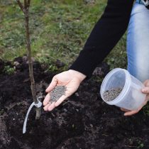 Реликтовое удобрение: Гранулированный сапропель Применение гранулированного сапропеля в садоводстве