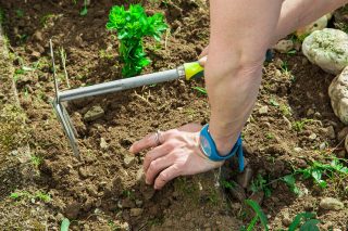 Аэрация и забота: Ручное рыхление. Деликатное ручное рыхление почвы