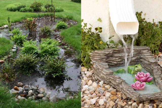 Пример дождевого сада прямо у водостока или в природной низине