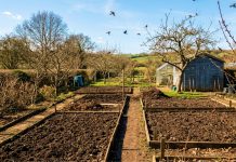 Как правильно подготовить почву к посадкам?