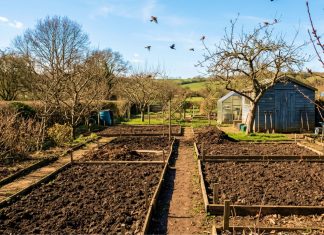 Как подготовить почву к посадкам? - Блоги компаний Как правильно подготовить почву к посадкам?