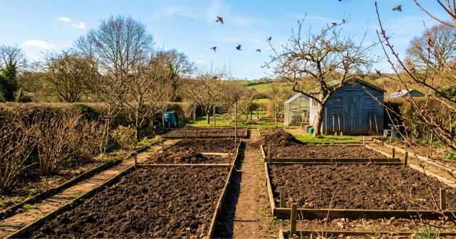 Как правильно подготовить почву к посадкам?