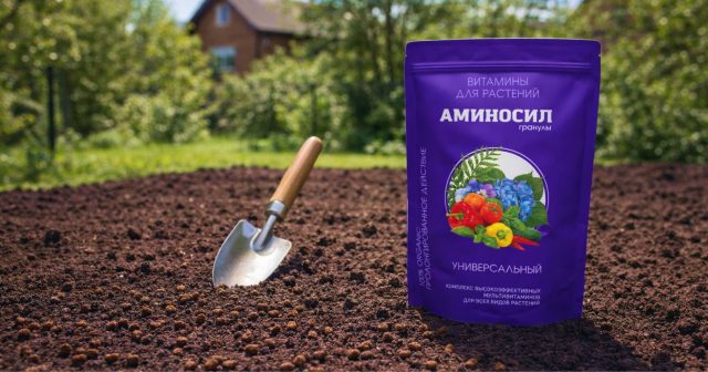 Аминосил универсальный в гранулах