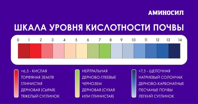 Шкала уровня кислотности почвы
