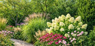 Как сделать так, чтобы цветник не пустовал круглый год — растения по месяцам - Лучшее Как сделать так, чтобы цветник не пустовал круглый год — растения по месяцам