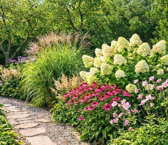 Как сделать так, чтобы цветник не пустовал круглый год — растения по месяцам