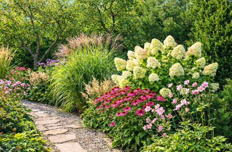 Как сделать так, чтобы цветник не пустовал круглый год — растения по месяцам