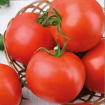 Томат Капитан F1